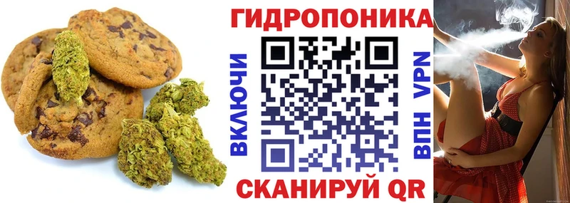 магазин    Киров  KRAKEN ссылка  Печенье с ТГК конопля 