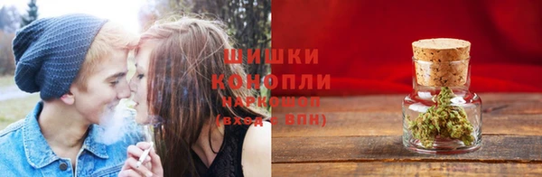 винт Магас