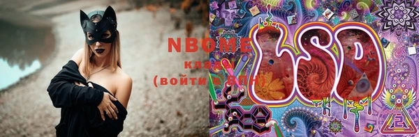 крисы Алексин