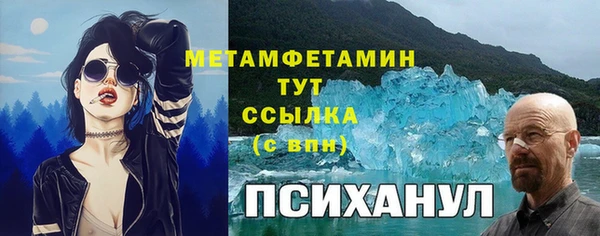 крисы Алексин