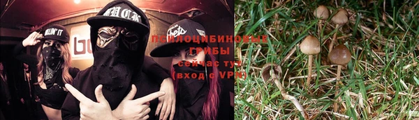крисы Алексин