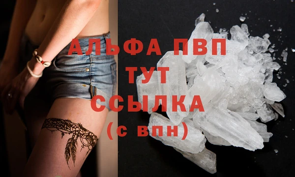 крисы Алексин