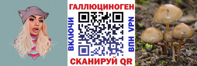 Галлюциногенные грибы MAGIC MUSHROOMS  Киров 