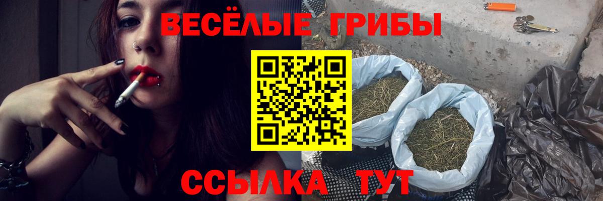 Псилоцибиновые грибы ЛСД  Вход с VPN  Киров 