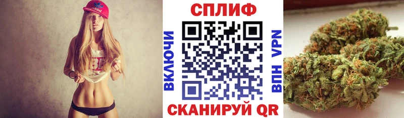 Конопля Bruce Banner  Киров 