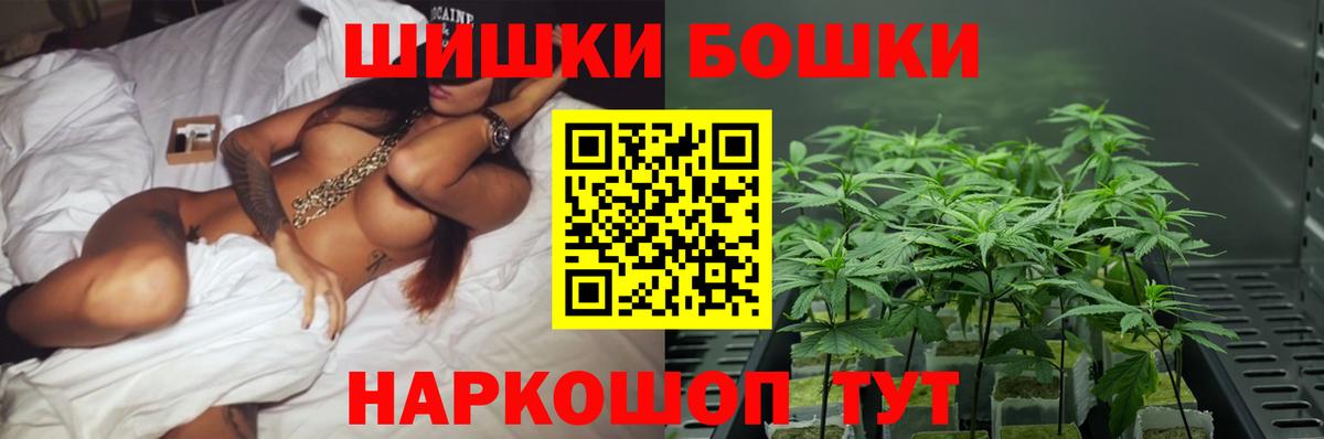 Бошки Шишки планчик Киров